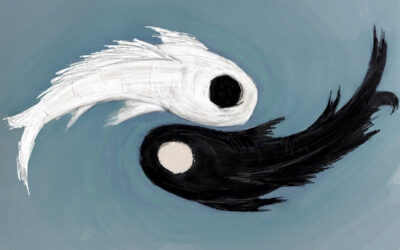 Yin & Yang – more than you think